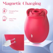 Pleasure Hub Massager