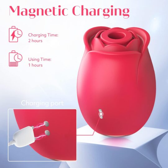 Pleasure Hub Massager