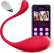 Pleasure Hub Massager
