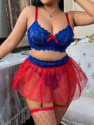Sheer Mesh Mini Skirt with Lace Bra